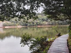 -广州市石门国家森林公园