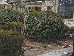 -壹条龙饭庄台基厂店