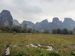 -明仕田园