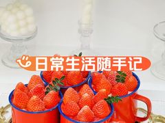 -幸福鸟动物奶油生日蛋糕(军校店)