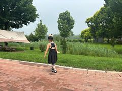 -圣露庄园·亲子活动乐园·露营·团建婚礼