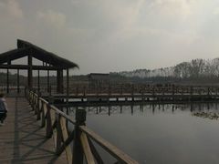 android_upload_pic-溱湖国家湿地公园