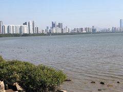 -深圳湾公园(南山区)