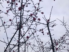 -乌江画廊(彭水苗族土家族自治县)