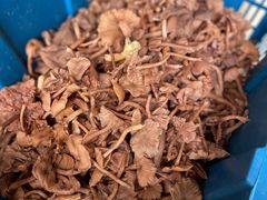 -山菌美食苑(振兴路店)
