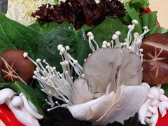 -额尔敦传统涮(体育场店)