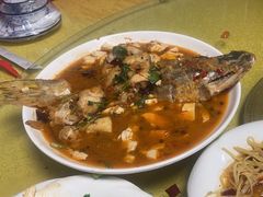 -煲来饱去冷水鱼