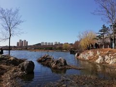 -前关湿地公园