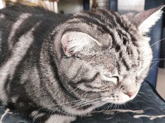 -平行世界·猫咖(首经贸店)