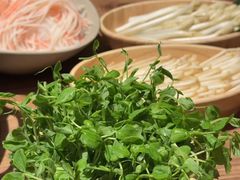 -四喜小胖·北京涮肉(五道营店)