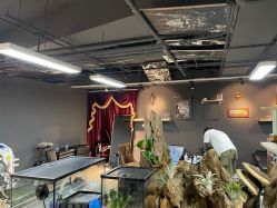 -周忆刺青原创设计定制