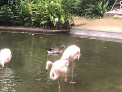 -九龙公园