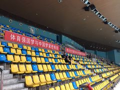 -重庆市奥林匹克体育中心-游泳跳水馆