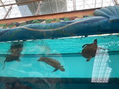 -望儿山温泉水乐园