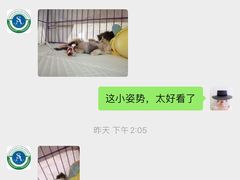 -派美特宠物医院·核磁CT·骨科肿瘤·疑难转诊(沈农禾丰店)