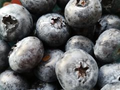 -佳乐家(新华店)