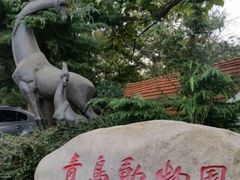 -青岛动物园