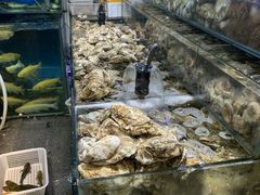 -岳各庄批发市场(西四环中路店)