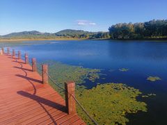 -塞罕坝国家级自然保护区