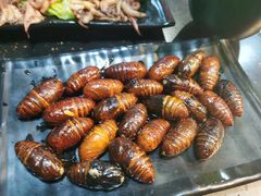 烤蝉蛹-丹东丛炟海鲜烧烤(江艺路店)