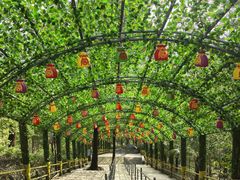 -东莞观音山旅游风景区