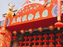 -南宫五洲植物乐园