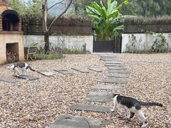-原乡芦茨咖啡