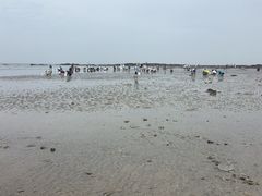 -辽宁团山国家级海洋公园