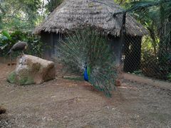 -海南热带野生动植物园