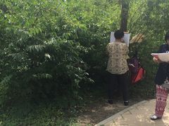 -回龙观体育文化公园