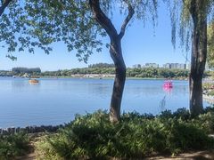 -大兴滨河森林公园