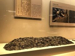 -南昌市博物馆