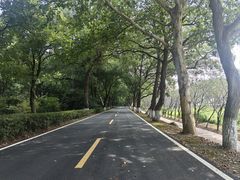 -盐官日光域房车营地·有盐餐厅