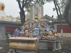 -护国法轮寺