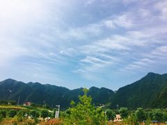 -王顺山国家森林公园