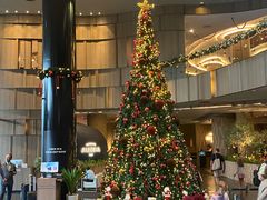 -樟宜机场皇冠假日酒店 （SG Clean） - IHG 旗下酒店