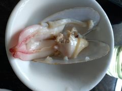 -蚝专家