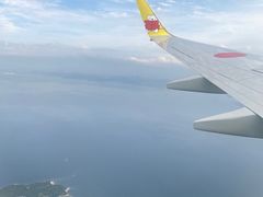 -矢场猪(名古屋站三井楼北馆店)