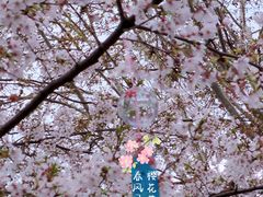 -堤角公园