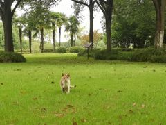 -上海市保健医疗中心