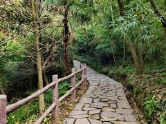 -都江堰中华大熊猫苑