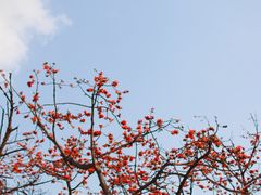 -喜洲吧·江畔老船厂·庭院餐厅(喜临院店)