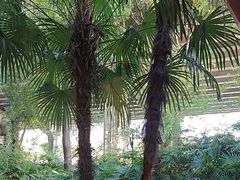 -大妙火锅·非物质文化遗产(东湖公园店)