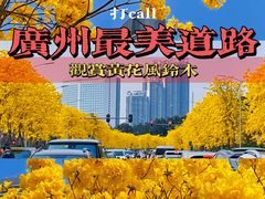-洲头咀公园