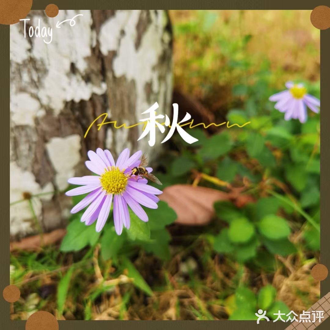 和秋天的约会，抓住秋天的尾巴[胜利]