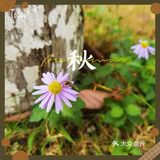 和秋天的约会，抓住秋天的尾巴[胜利]