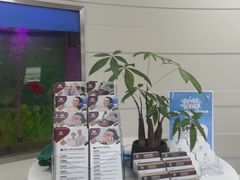 -雅悦齿科(顾村公园店)