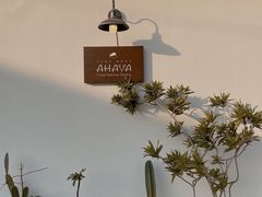 -AHAVA·Fang Baking Studio