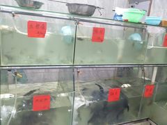 水产区-天和楼·精致太湖酒家(太湖店)