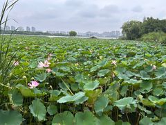 -云龙湖旅游景区